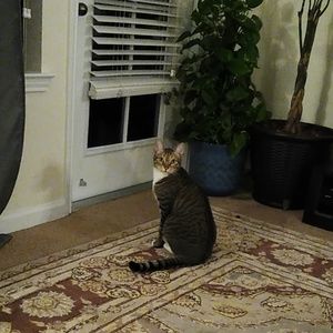 Meet your Posher, Nancy